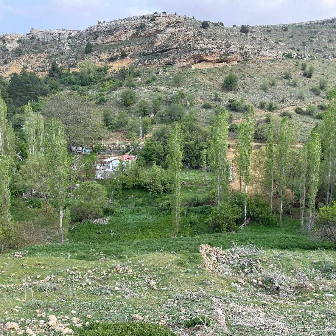 71645 EMLAKNOMİ'den   LALE KÖYÜNDE SATILIK BAHÇE