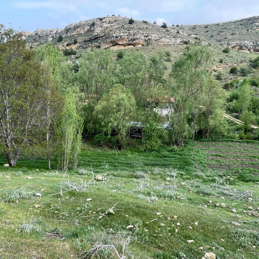 71645 EMLAKNOMİ'den   LALE KÖYÜNDE SATILIK BAHÇE